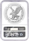 2025  p   1 1 Oz Silver Eagle With Eagle Privy Ngc Ms70 Early Releases