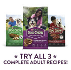 Complete Dry Dog Food For Adult Dogs High Protein  Lamb  44 Lb Bag