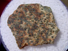 1 10 Grams 15x15x2mm Erg Chech 002 Meteorite   Achondrite-ung   Slice With A Coa
