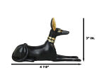 Ebros Egyptian Classical God Anubis Jackal Dog Figurine 5 5 l Deity Of Afterlife
