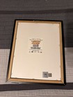 Lebron James 2016 Nba Finals Cavs Warriors Game 7 Frame  The Block Highland Mint