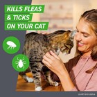 Frontline Plus Flea And Tick Treatment For Cats Over 1 5 Lbs  6 Treatments