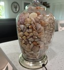 Vintage Seashell Filled Glass Table Lamp Coastal Beach Lake Cottage Shell Decor