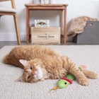 Crinkle Creeper Crinkle Plush Kicker Cat Toy With Catnip Filled Tail  Green new