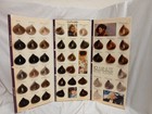 2 Vtg L oreal Crescendo Majirel Hair Color Shade Selector Chart Brochures Swatch