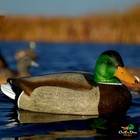 Avery Greenhead Gear Ghg Hot Buy Magnum Mallard Duck Floating Decoys