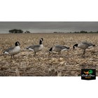 Avery Greenhead Gear Ghg Hunter Series Lesser Canada Goose Decoys Harvester Pack