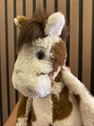 Jellycat Plush London Medium Bashful Pinto Pony Horse Retired 12  Spotted Rare