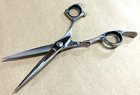 Razorline Ak27 Beauty Shear 6 0 Inch- Refurbished