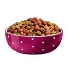 Dog Chow Tender   Crunchy Dog Food With Beef   Rice - 15lbs