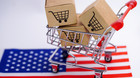 Personal Shopping Services Shopper In United States Usa We Buy For You Ebay  Amz
