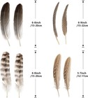 24pcs Natural Guinea Fowl Wing Feathers 6-8 Inch  4 Styles Spotted Feathers