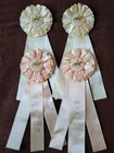  edge Of The Woods  Dressage Horse Show Ribbons Equestrian Events Vintage Awards