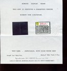 Ryukyu Islands Scott 93 Display Mihon Mint Stamp With Bush Cert    rare   