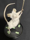 Taxidermy Mouse Stripper Mouse Oddities Curiosities Taxidermy Art