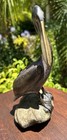 Vintage Signed Bronze Brian Arthur 9    Pelican Sculpture Rare  35 150