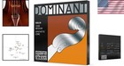Thomastik Dominant Set 135b Violin Strings