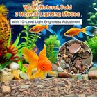 Wdefun 10 Lbs Aquarium Gravel River Rock Stones  Natural Decorative Polished Mix