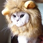 Dog Cat Lion Mane Costume Realistic Funny Mane For Halloween Pet Dress-up