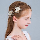 2 Pcs Wedding Flower Girl Hair Pins Bride Pearl Crystal Hair Clips Gold