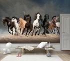 3d Animal Galloping Horses Self-adhesive Removable Wallpaper Murals Wall Sticker