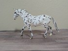Breyer Traditional Model Horse Slainte Surprise  711371 Matte Leopard Appaloosa