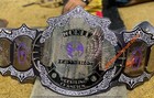Undertaker 30 Years  signature Series  Championship Replica Title Belt 4mm Brass