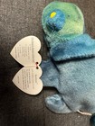 Ty Beanie Babies 1997 Rainbow  mint Condition  never Used  protected Tag