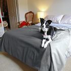 Waterproof Warm Soft Fleece Pet Blanket Large Cat Dog Kennel Bed Mat Pad Cushion