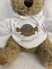 2018 Hard Rock Hotel   Casino Sioux City Teddy Bear With Hoodie
