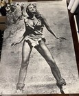Original Raquel Welch One Million Years Bc 29x41 Movie Promo  Poster Vintage Nm