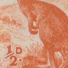 Australia        Penny Orange Kangaroo No Wmk Mnh Block Acsc Variety   ref  405 