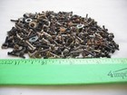 Lot Of Many Assorted Sizes Small Metal Screws Bolts Washers  1of2  Over 4 Ounces
