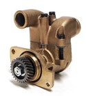 Yanmar 6lp Ste dte stp2 Diesel Raw Water Pump Replaces 119773-42500 119773-42501