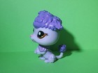 Authentic Lps Littlest Pet Shop  1694 Purple Poodle Dog Brown Eyes Rare Htf
