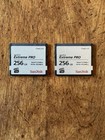 Two Sandisk 256gb Extreme Pro   Cfast   Memory Cards  sdcfsp-256g-g46d  Plus Case