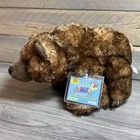 Vtg 2011 Ganz Webkinz Grizzly Bear Plush Hm187 New Sealed Unused Code
