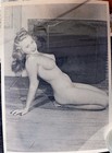 1940s Original Negative Nude Glamour Model Busty Medium Format 4 X 3