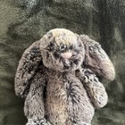 Jellycat London Woodland Bashful Bunny Small Plush Stuffed Animal Lovey