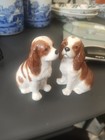 Quail Ceramics Cavalier King Charles Spaniel Salt And Pepper Pots Blenheim Dog
