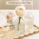 Clear Glass Bud Vase Set Of 12 Pcs small Bud Vases In Bulk glass Crystal Flower