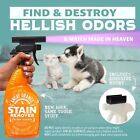 Angry Orange Stain Remover - 32oz Enzyme Pet Cleaner - Dog   Cat Urine Destroyer