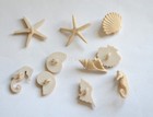 Beach Beauties   Dress It Up Jesse James   Sea Shells   Sea Horse Shank Buttons