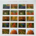 100 Stamps Usps 2024 Autumn Colors Scott 5929-5938 Mnh Forever Fall Floral