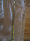 Adult Tan Suede Western Fringe Chaps  31   -35   Small medium 