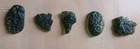 Moldavite 5 Pieces Please Read Description 
