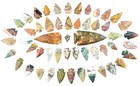 52 Pc Lot Flint Arrowhead Ohio Collection Project Spear Points Knife Blade