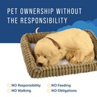 Breathing Stuffed Animal Doll - Interactive Plush Dog Toy - Synthetic Fur - Lab