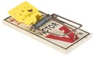 Victor Mouse Traps 72 Traps Total Factory Case Clearance Ez Set Free Shipping