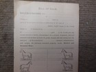 Antique 1881 Horse Bill Of Sale With Horse Figures To Show Brands And Markings